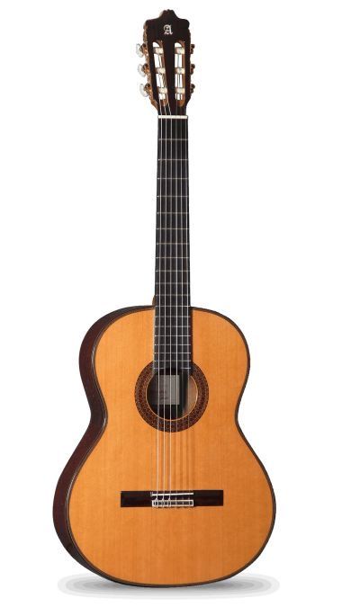 راهنمای جامع خرید گیتار آنلاین 