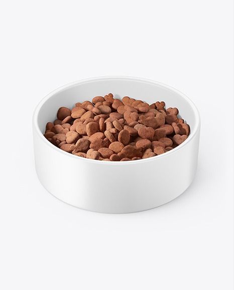 خرید غذای سگ؛ راهنمای جامع برای انتخاب بهترین برند و خرید آنلاین از سایت سودگام