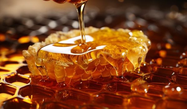 خرید عسل طبیعی