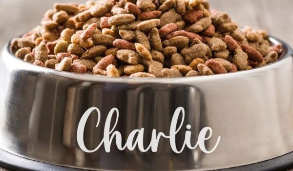 خرید غذای سگ