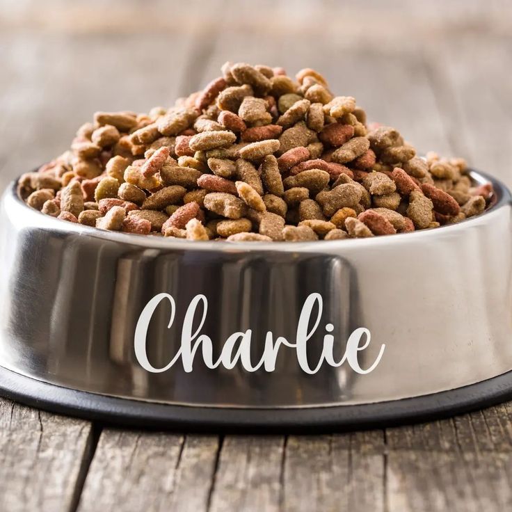 خرید غذای سگ