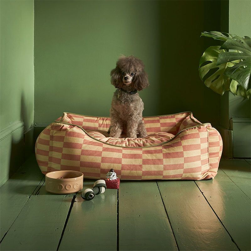 خرید لوازم پت خانگی